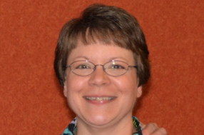 Rotary District Governor